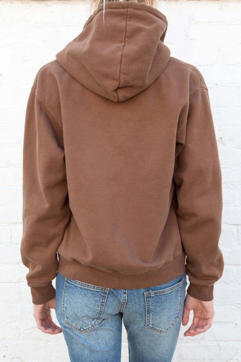 Sweat a Capuche Brandy Melville Christy Marron | DRL-85805879